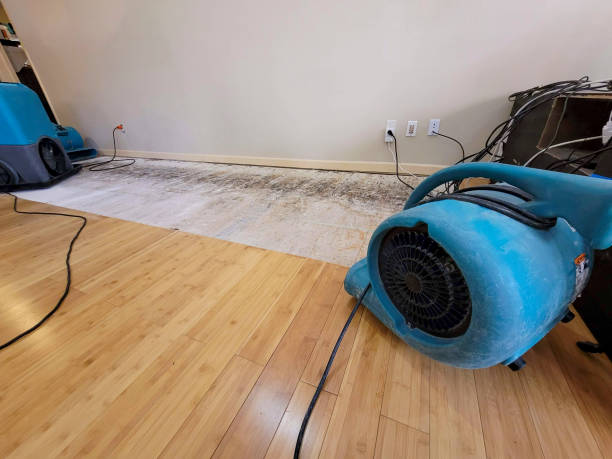 Professional Sewage Cleanup technician working in Odin, MN